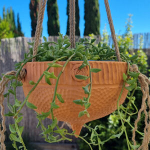 Gumnut Hanging Pot - Dimple design